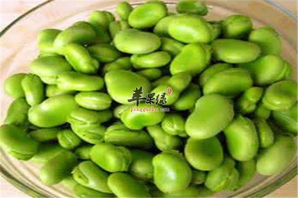 仲夏吃什么豆 蚕豆和红豆  第4张