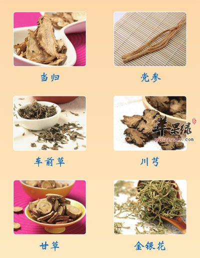 大寒节气中药调养更滋补  第1张