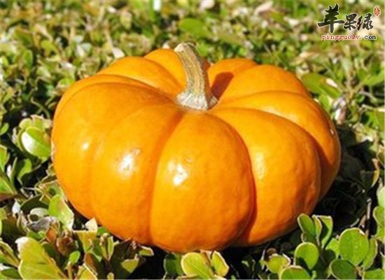 四类食物缓解更年期健忘症问题  第2张