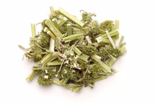 孕妇能否吃益母草_功效与作用