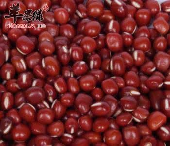 哪些药材适合小暑节气服用  第3张