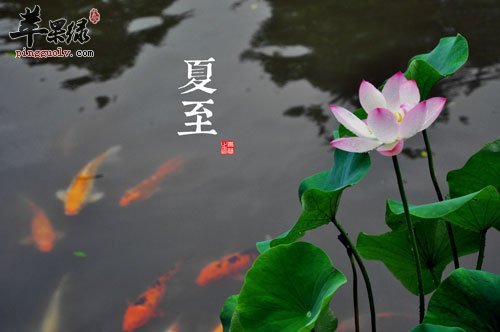 夏至养生  第1张