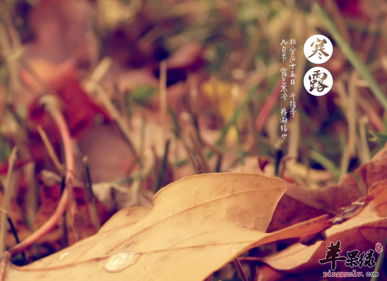 寒露在衣食住行上要注意的事情  第2张