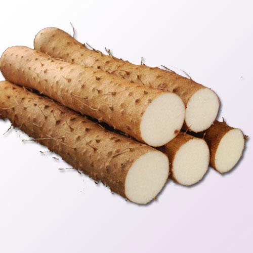孕妇吃山药的好处_作用