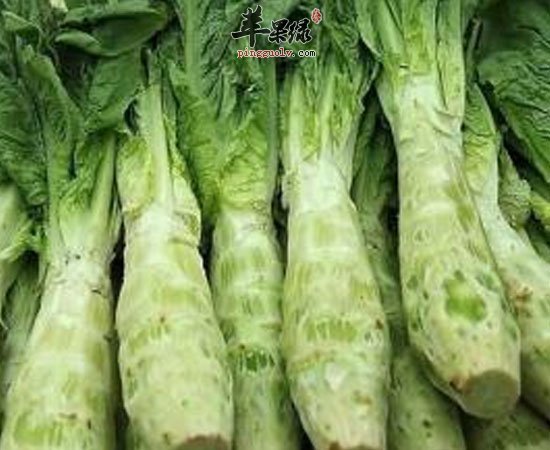 夏季养生要多吃竹笋芦笋莴笋  第2张