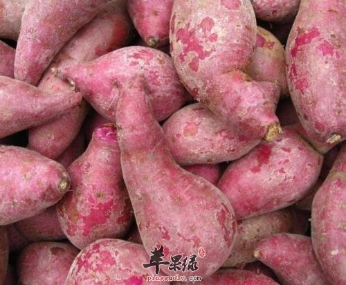 大寒节气前后食用这些蔬菜好