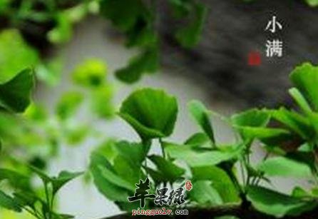 小满时节贪凉小心疾病侵扰
