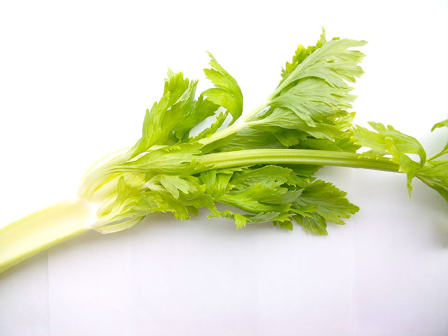 吃这些食物能帮助产后减肥  第3张