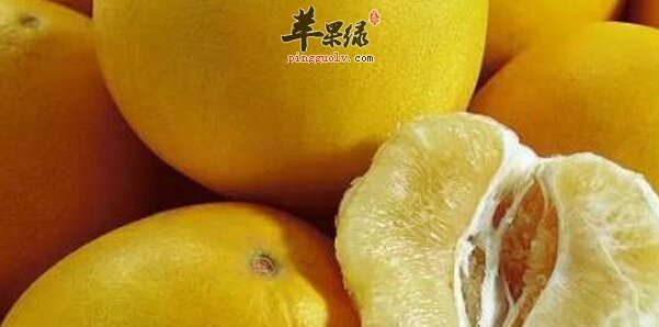 9月份吃什么水果好  第4张