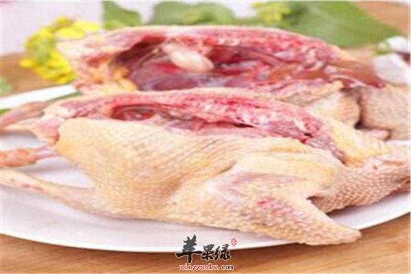 女性经期三种饮食调节食材补气血  第4张