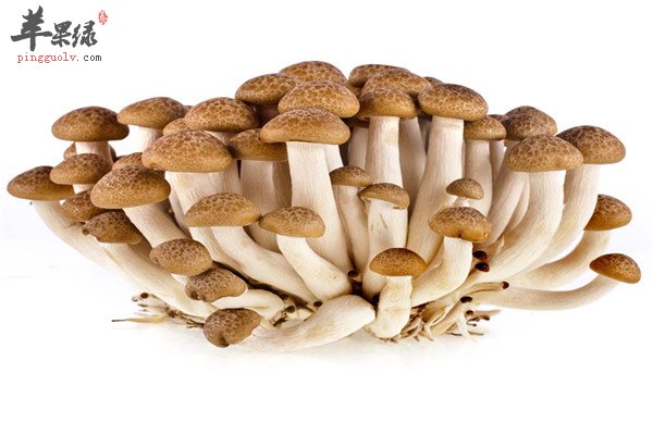 冬季能够补气的三种食物不能少  第2张