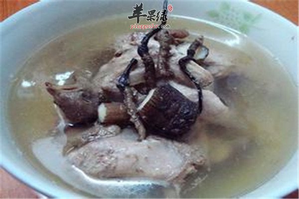 夏季消暑去火的两款养生汤品  第1张