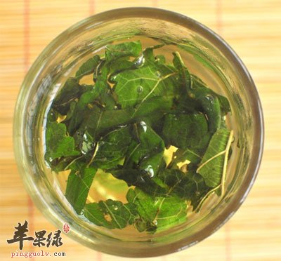 桑叶能减肥吗