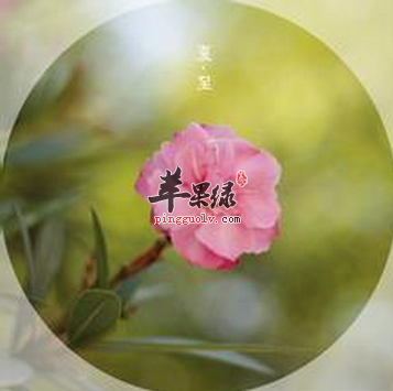 夏至来了 如何让身体适应各方面变化  第4张