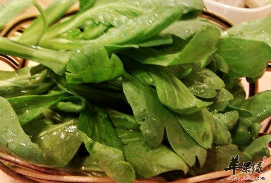 在惊蛰时节吃些什么蔬菜好呢  第1张