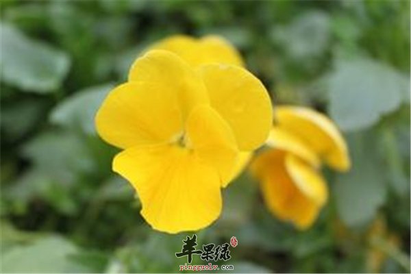春季做到三个不要美丽健康伴随你  第1张