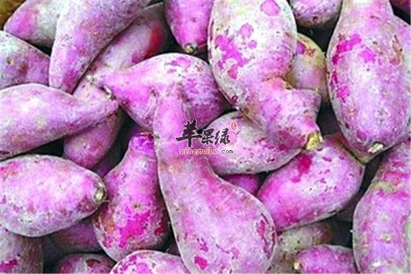 孕妇能吃紫薯吗 怎么吃最好  第4张