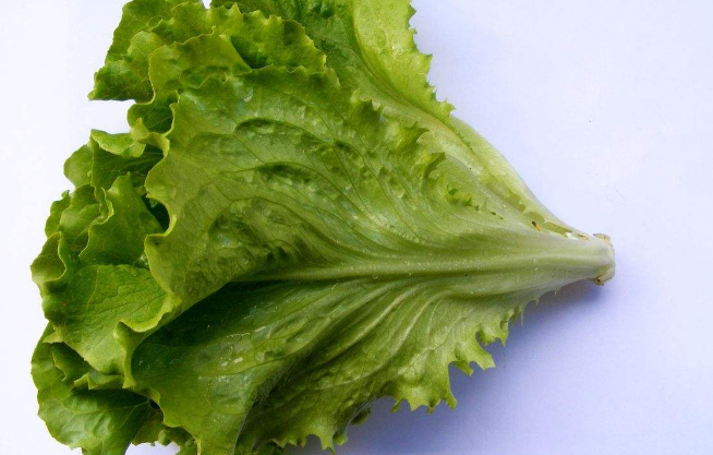 芒种节气多吃哪些蔬菜比较好  第3张