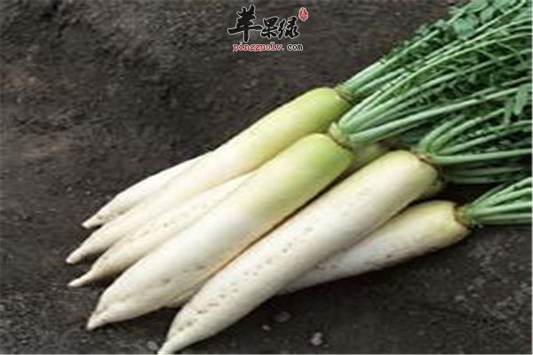 秋分养生最需要吃哪些食材