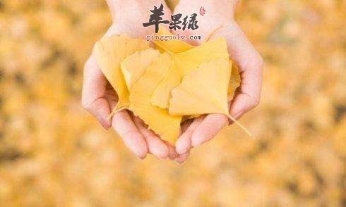 秋分养生该怎么调整心理  第4张