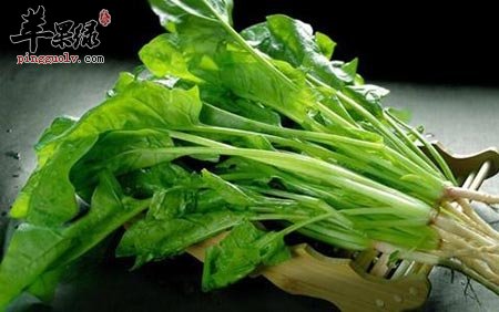 春季养生吃哪些蔬菜好 这样吃更健康  第1张
