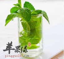 薄荷的治疗作用 能抗病毒抗菌抗炎