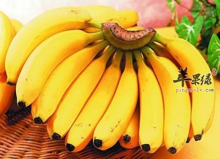 夏季养生最适合吃的水果有哪些  第1张