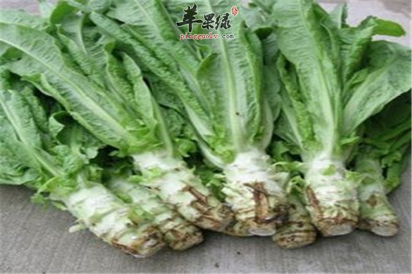 立夏最适合的养生食物别错过  第3张