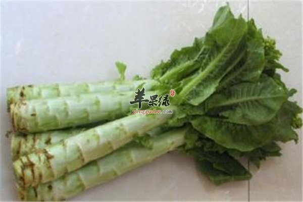 最适合春季的蔬菜你吃了吗  第1张