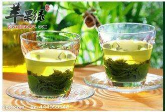 谷雨节气适合喝哪些茶品  第1张