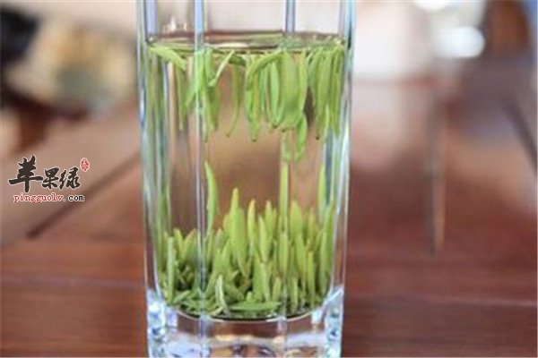 大暑节气适合的几种养生茶
