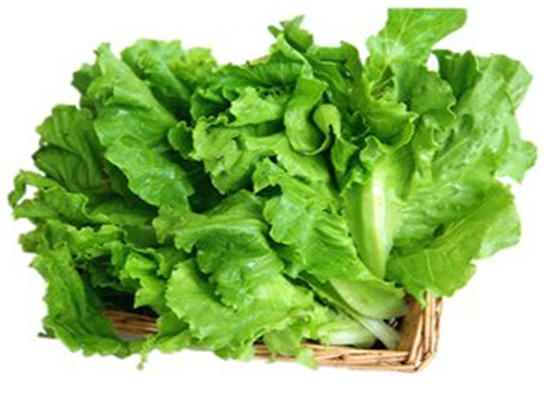 两种蔬菜夏季大暑保湿又补水  第1张