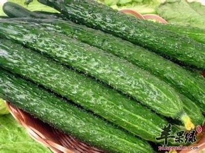胃胀吃哪些食物可以很好的消胀