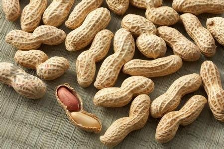 清明养生要补阳 小心食物中毒  第1张