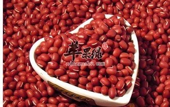 孕妇在大雪节气上火了吃哪些食物好