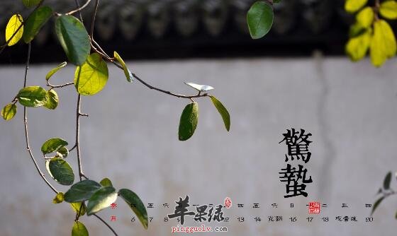 惊蛰养生 保阴潜阳讲究衣食住行  第1张