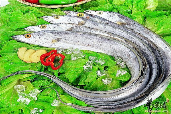 北方立冬节气吃什么 三种食材最养生  第1张