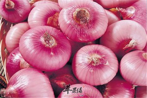 最适合夏季的健脾利湿食材  第1张