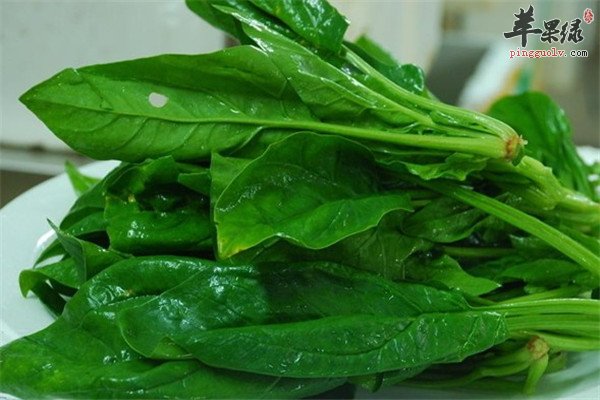 冬季感冒不能少的三款防感冒食材  第4张