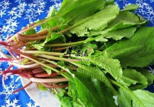 大雪的养生食物 推荐多吃萝卜缨  第2张
