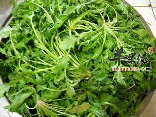春季吃什么比较好 这些蔬菜有好处  第1张