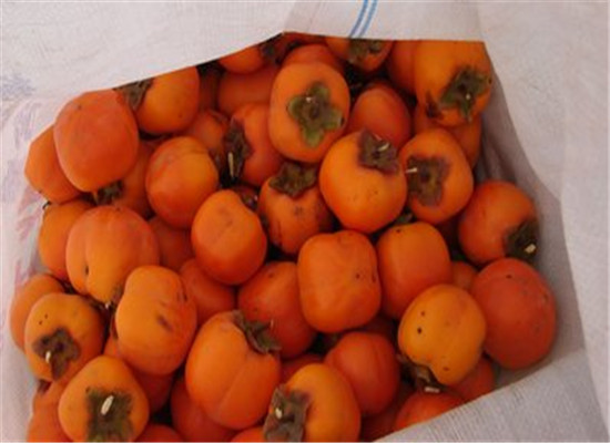 孕妈妈的饮食禁忌 这些食物要禁忌