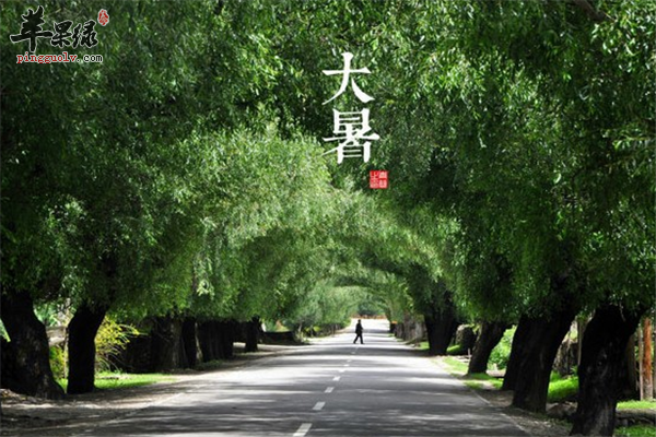 大暑节气养生的三大禁忌要明白