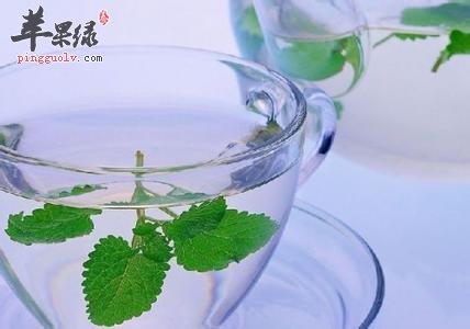 孕妇朋友们能不能吃薄荷呢