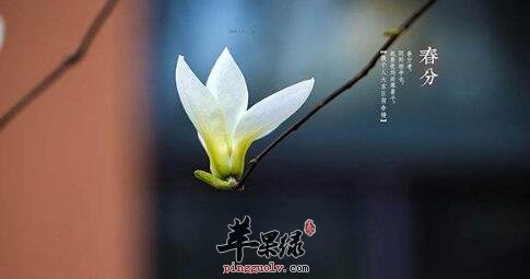 2017年春分是什么时候  第1张