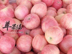 消化不好的老年朋友可以多吃哪些水果  第1张
