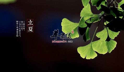 2017年立夏是什么时候  第1张