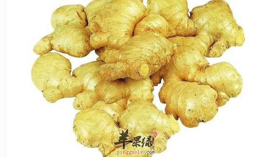 三伏天吃些什么比较合适呢  第4张