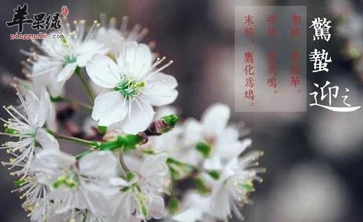 惊蛰节气人们如何护肝健脾  第1张