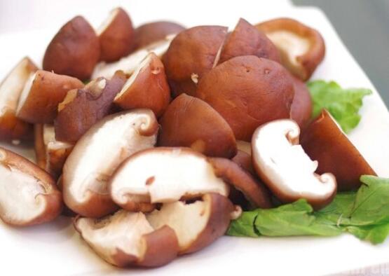 生产后吃香菇会回奶吗  第3张